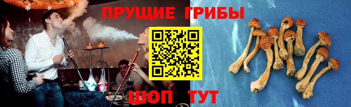 Галлюциногенные грибы мухоморы  Вход с VPN  Псилоцибиновые грибы GOLDEN TEACHER  Сибай 